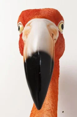 Dekoracja ścienna Flamingo Road 27x72 Cm