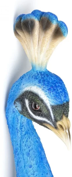 Dekoracja ścienna Peacock 16x68 Cm Niebieska