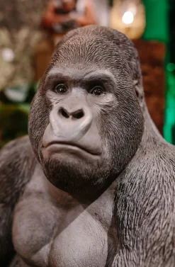 Dekoracja Stojąca Gorilla 60x76 Cm Ciemnoszara