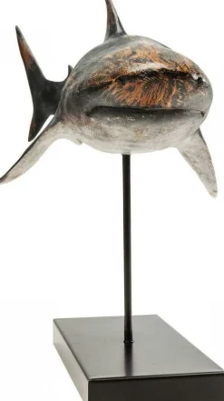 Figurka Dekoracyjna Shark Base 59x39 Cm Kolorowy