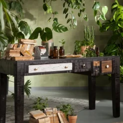 Roślina Dekoracyjna Aloe 69 Cm