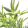 Roślina Dekoracyjna Bamboo Tree 200 Cm