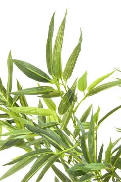 Roślina Dekoracyjna Bamboo Tree 200 Cm