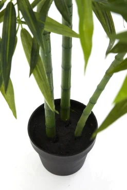 Roślina Dekoracyjna Bamboo Tree 200 Cm