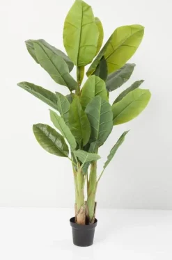 Roślina Dekoracyjna Banana Tree 180 Cm