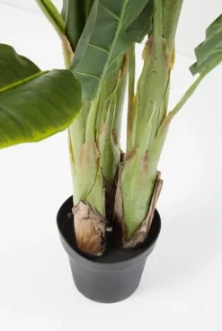 Roślina Dekoracyjna Banana Tree 180 Cm