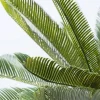 Roślina Dekoracyjna Cycas Tree 40x78 Cm
