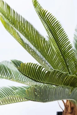Roślina Dekoracyjna Cycas Tree 40x78 Cm