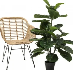 Roślina Dekoracyjna Fiddle Leaf 120 Cm