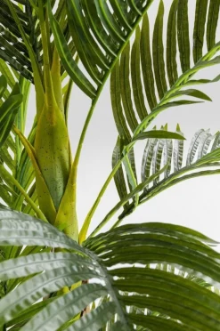 Roślina Dekoracyjna Palm Tree 190 Cm