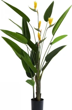 Roślina Dekoracyjna Paradise Flowers 190 Cm