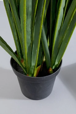 Roślina Sztuczna Dekoracyjna Do Salonu Rhynchostylis 150 Cm