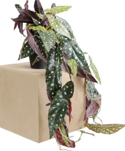 Roślina Sztuczna Do Salonu Begonia 45 Cm