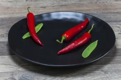 Talerz Organic 26 Cm Czarny